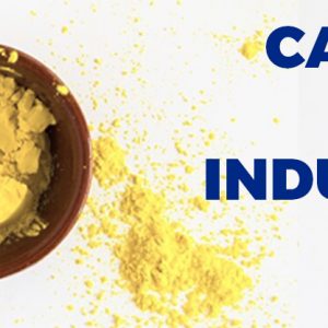 caseina-para-industria