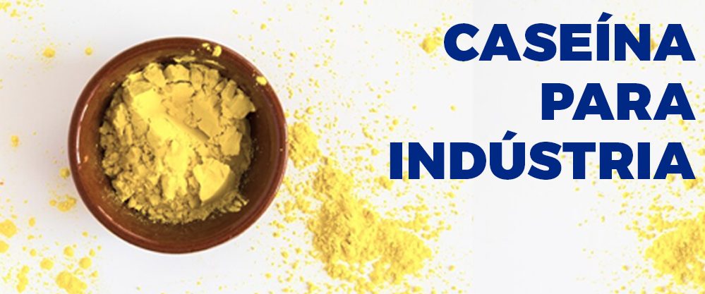 caseina-para-industria