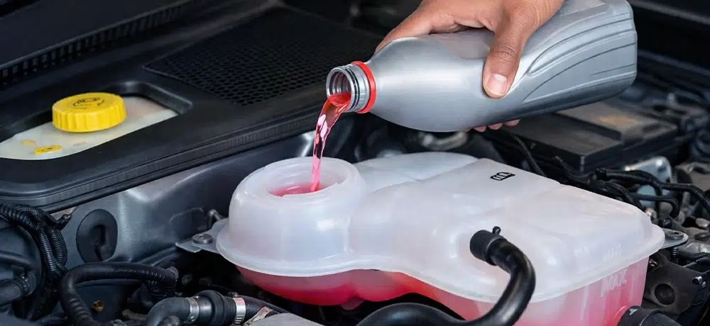 Monoetilenoglicol (MEG)